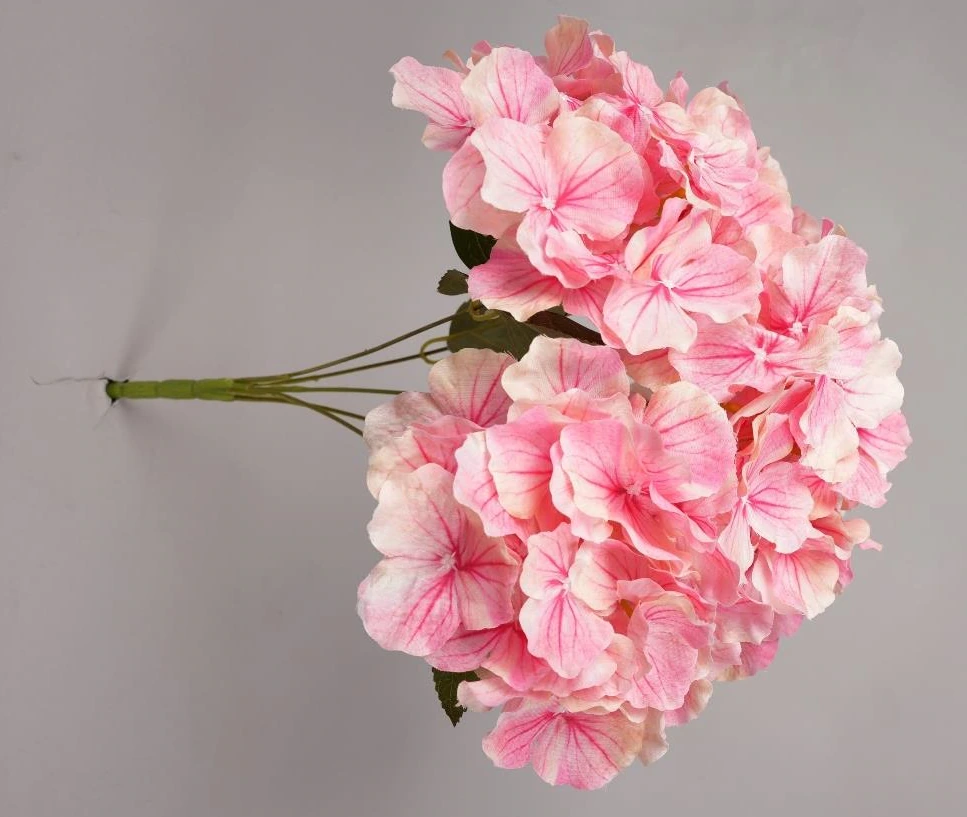 Hydrangea Big 3D Bunch x5